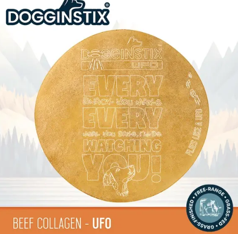 DOGGINSTIX UFO