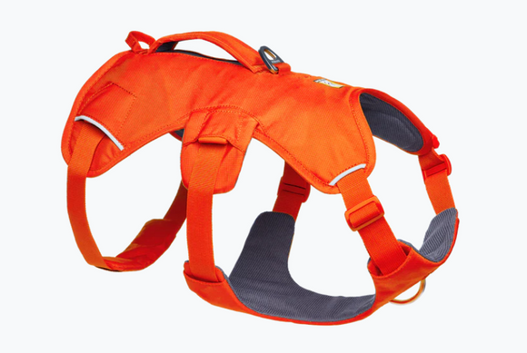 RUFFWEAR WEB MASTER HARNESS MEDIUM BLAZE ORANGE
