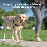 PET SAFE EASY WALK MEDIUM