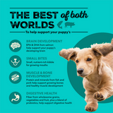 ACANA HEALTHY GRAINS SEA + FARM PUPPY 4LB