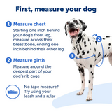 PET SAFE EASY WALK LARGE