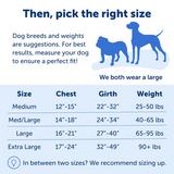 PET SAFE EASY WALK XL