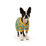 FABDOG PJS RUBBER DUCKY 8"