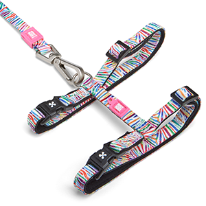 MAX AND MOLLY CAT HARNESS WITH LEAD MAGIC ZEBRA