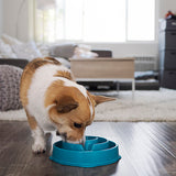OH HOUND SLOW FEEDER MEDIUM TRQ