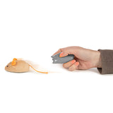 SMARTY CAT RACE N CHASE