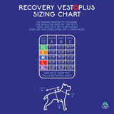 CALM PAWS RECOVERY VEST W COLLAR MED