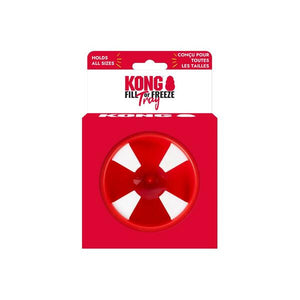 KONG FILL OR FREEZE SINGLE