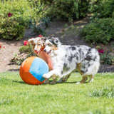 CHUCK IT! BIG AIR BALL