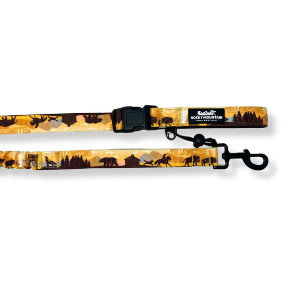 ROCKY MOUNTAIN DOG ALL MOUNTAIN LEASH 8' YELLOWSTONE