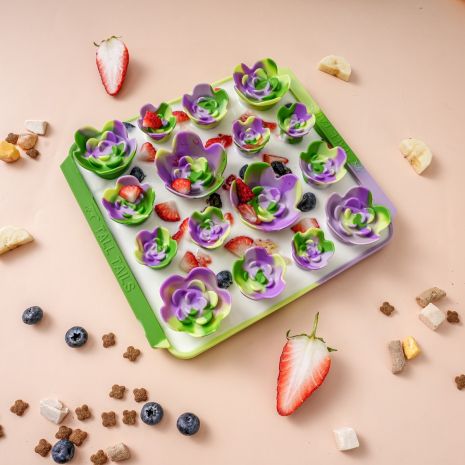 TALL TAILS SUCCULENT GARDEN SILICONE FORAGING MAT