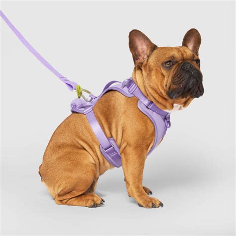 CANADA POOCH NEOPRENE EVERYTHING DOG HARNESS SMALL LAVENDER