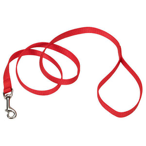 ANIPET 1" LEAD - 6'