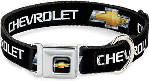 BUCKLE-DOWN CHEVY COLLAR - 31"