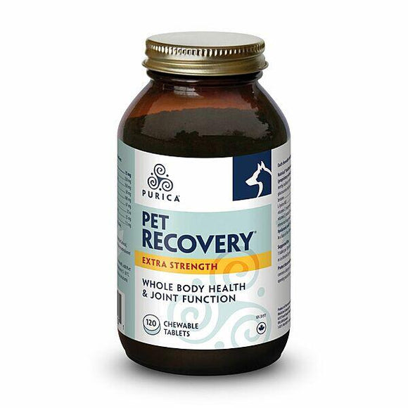 PURICA RECOVERY BODY&JOINT XTRA STRENGTH 120 CHEW TABS