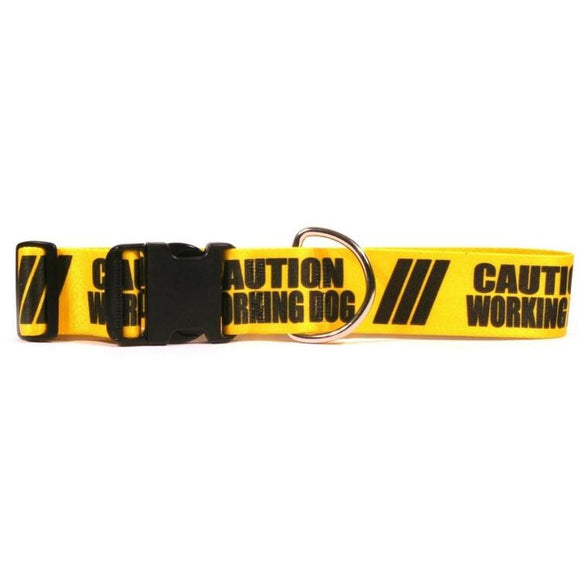 YELLOW DOG CAUTION COLLAR - LRG