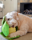 INJOYA SNUFFLE CABBAGE